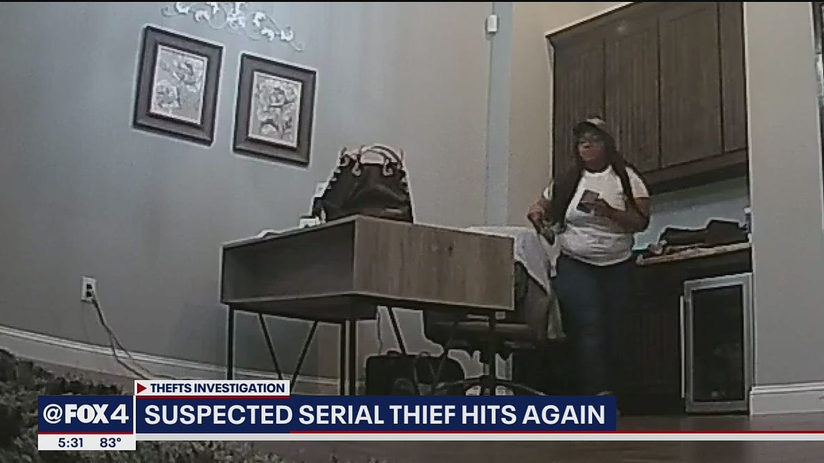 Suspected serial thief hits again